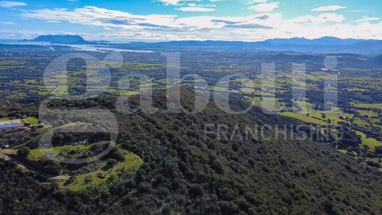  - foto 4