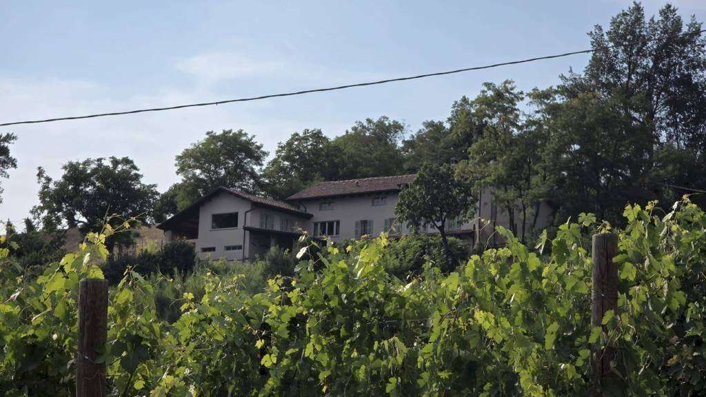  - foto 42