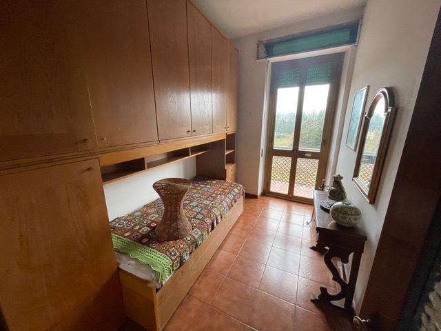  - foto 26
