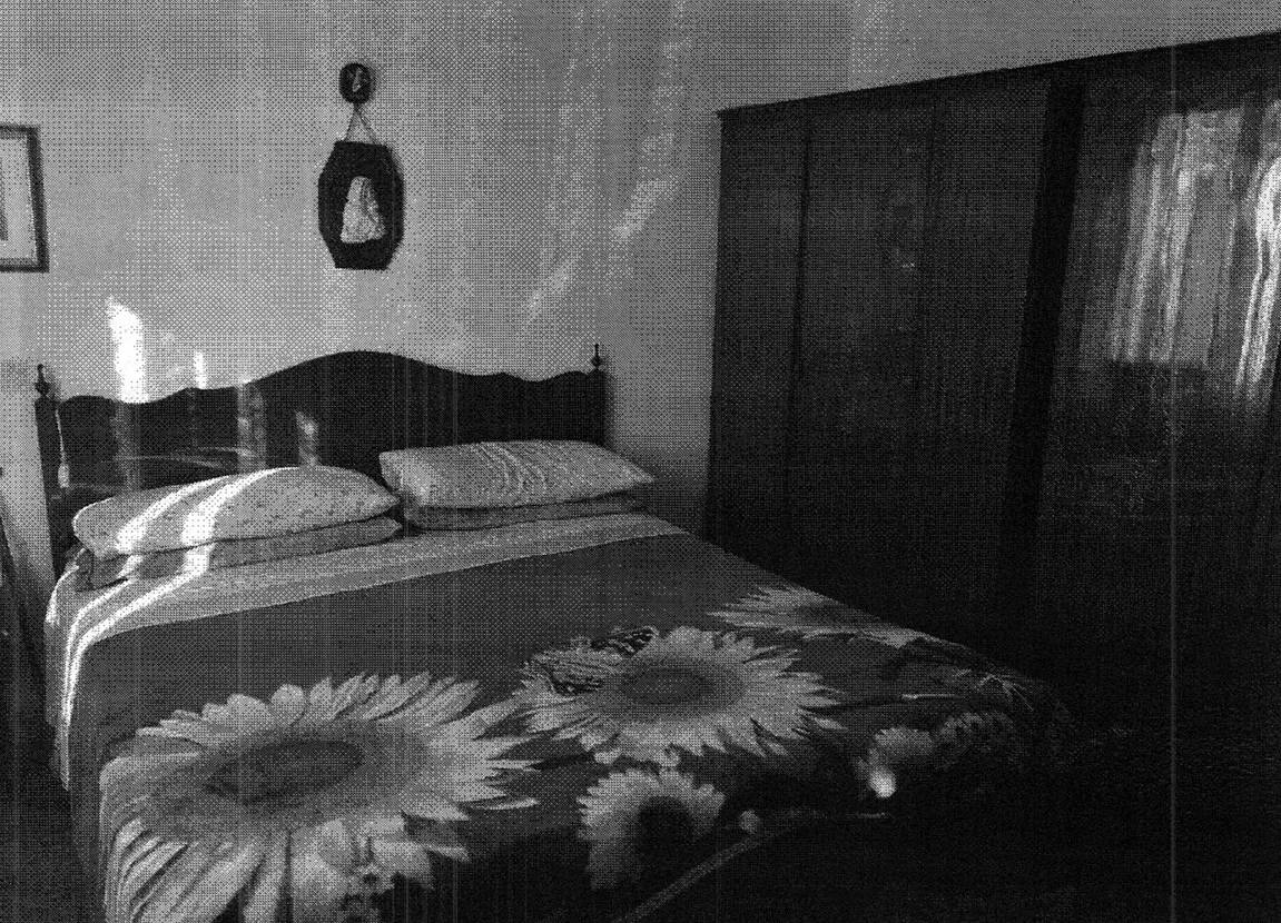  - foto 10