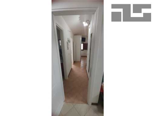  - foto 14