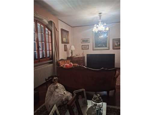  - foto 14