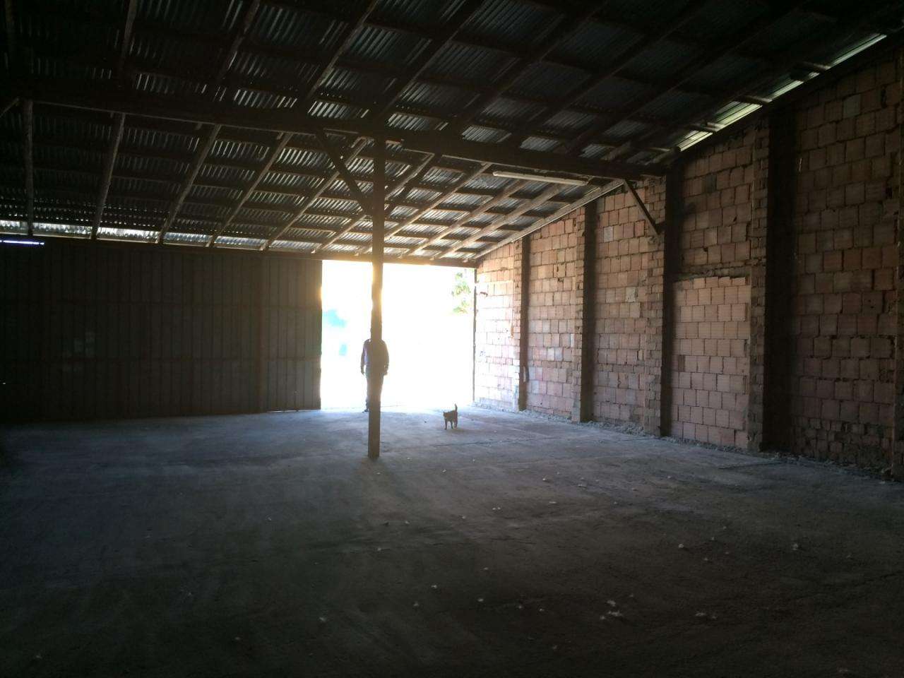  - foto 5