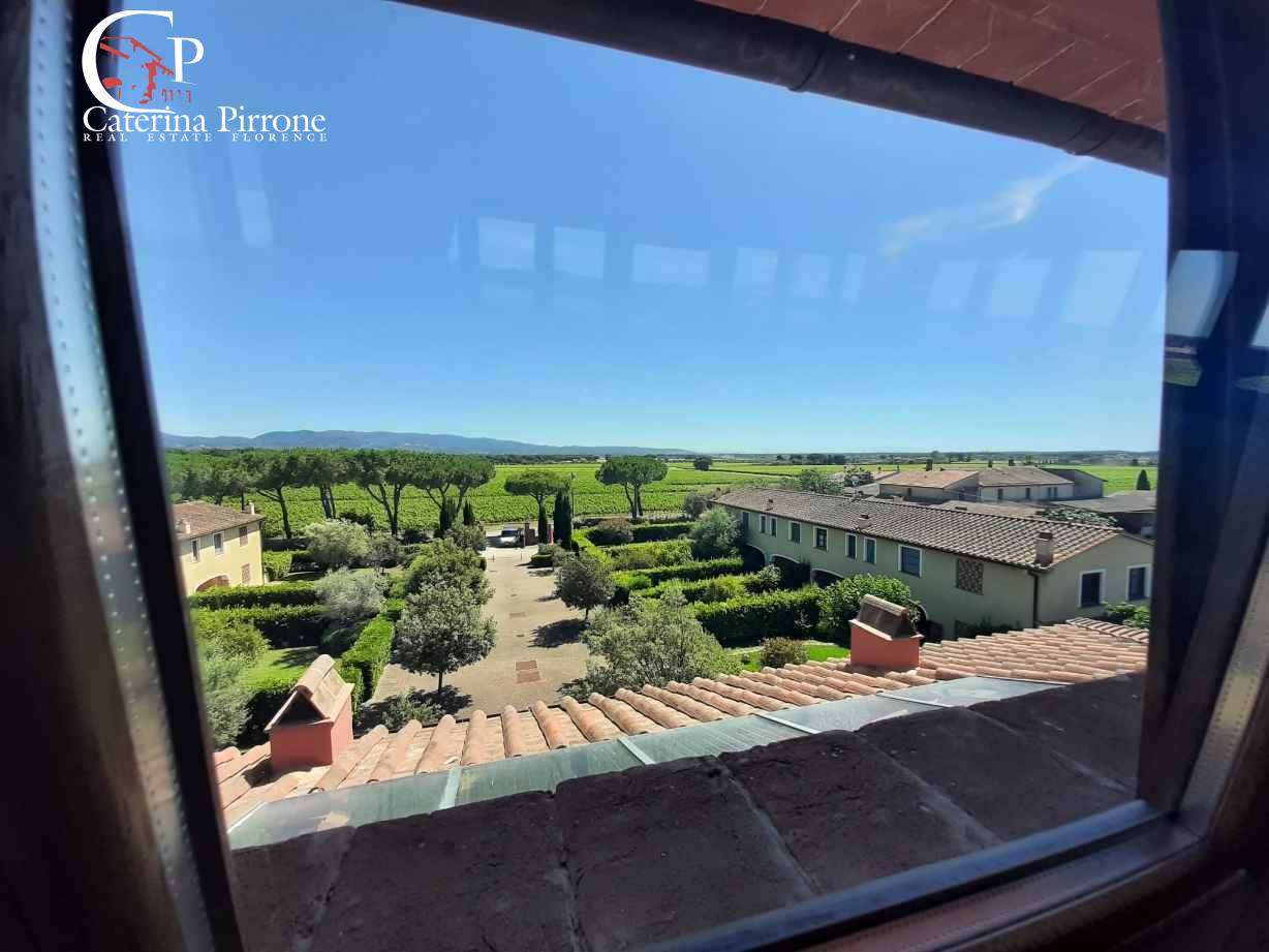  - foto 29