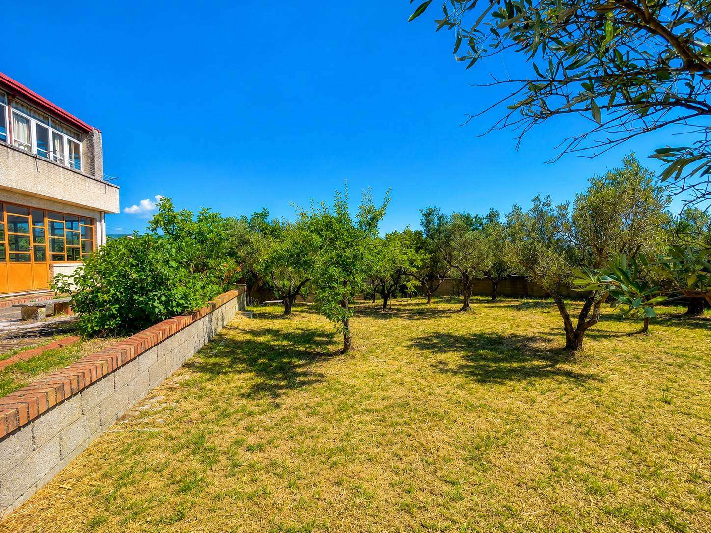  - foto 58