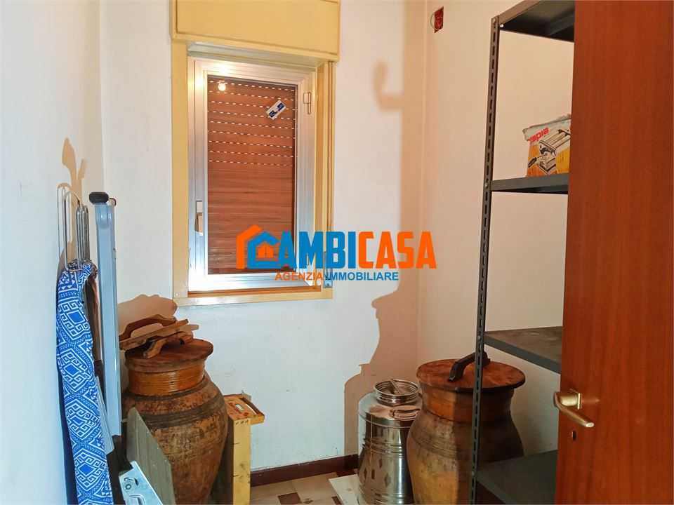  - foto 4