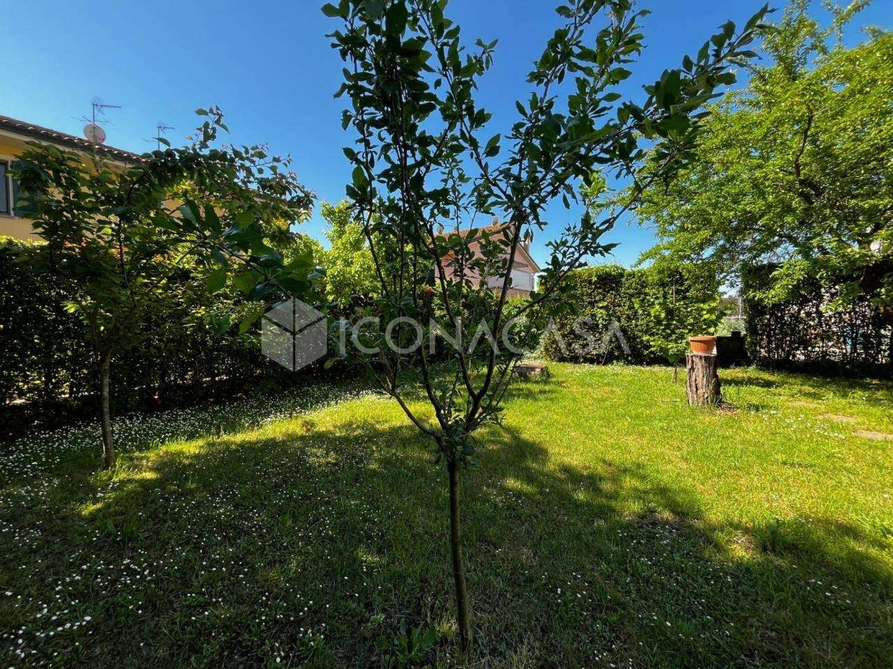  - foto 35