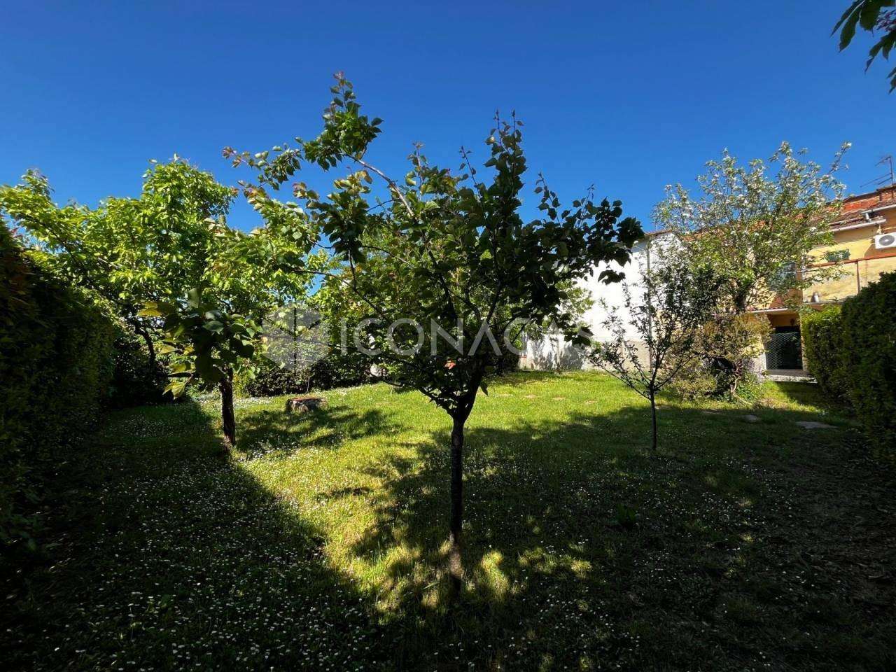  - foto 37