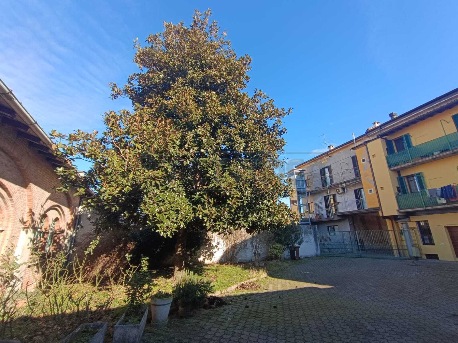  - foto 35