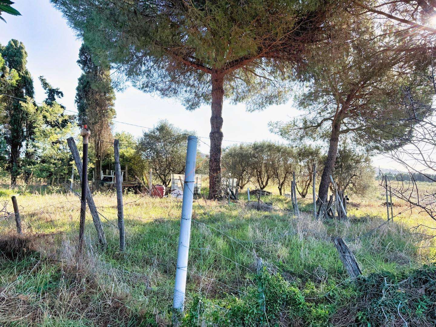  - foto 14