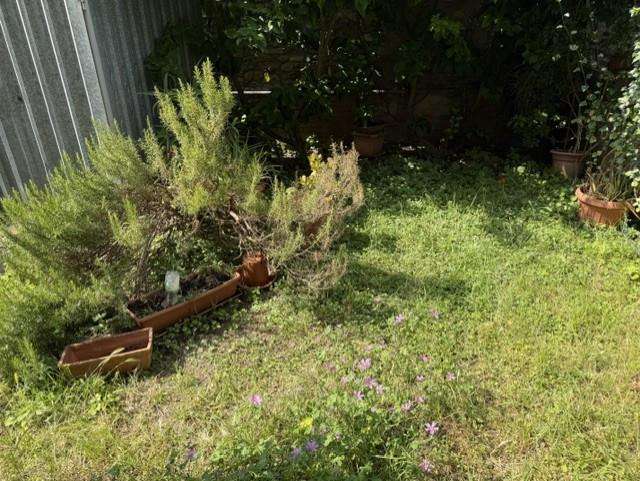  - foto 21