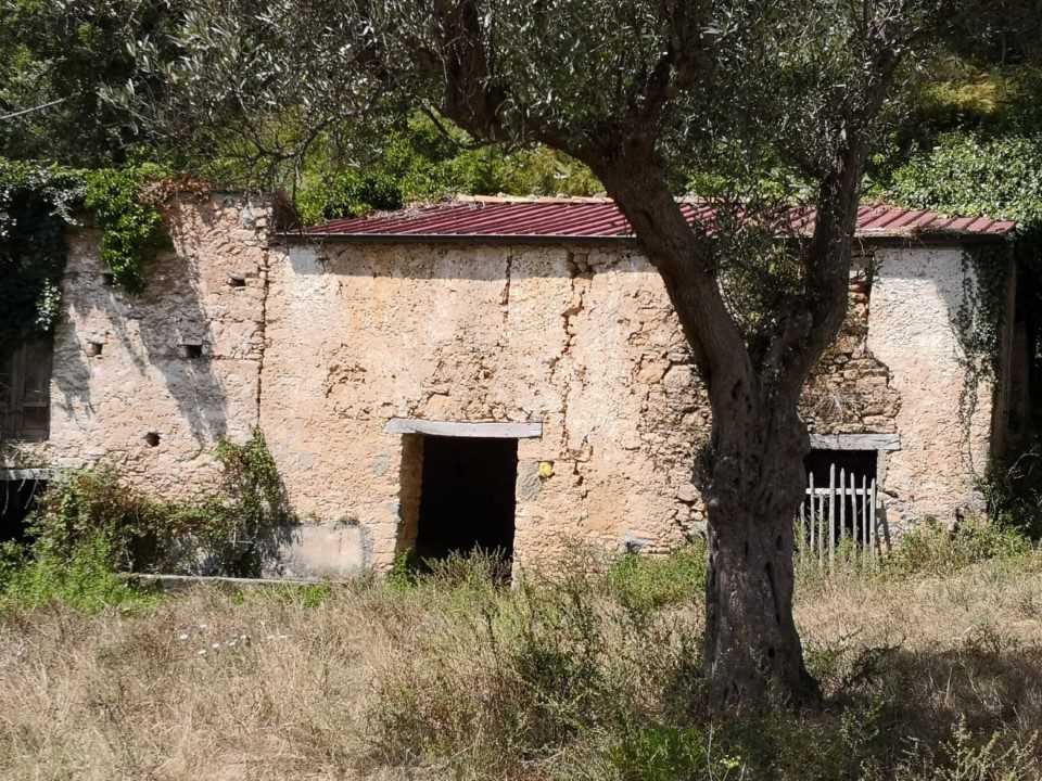  - foto 2