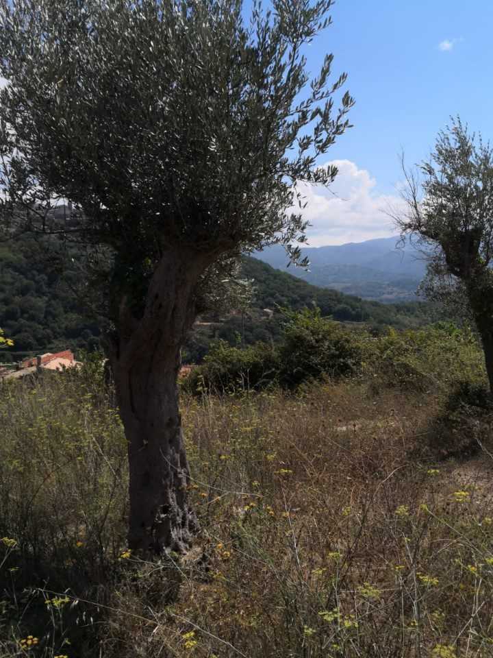  - foto 8