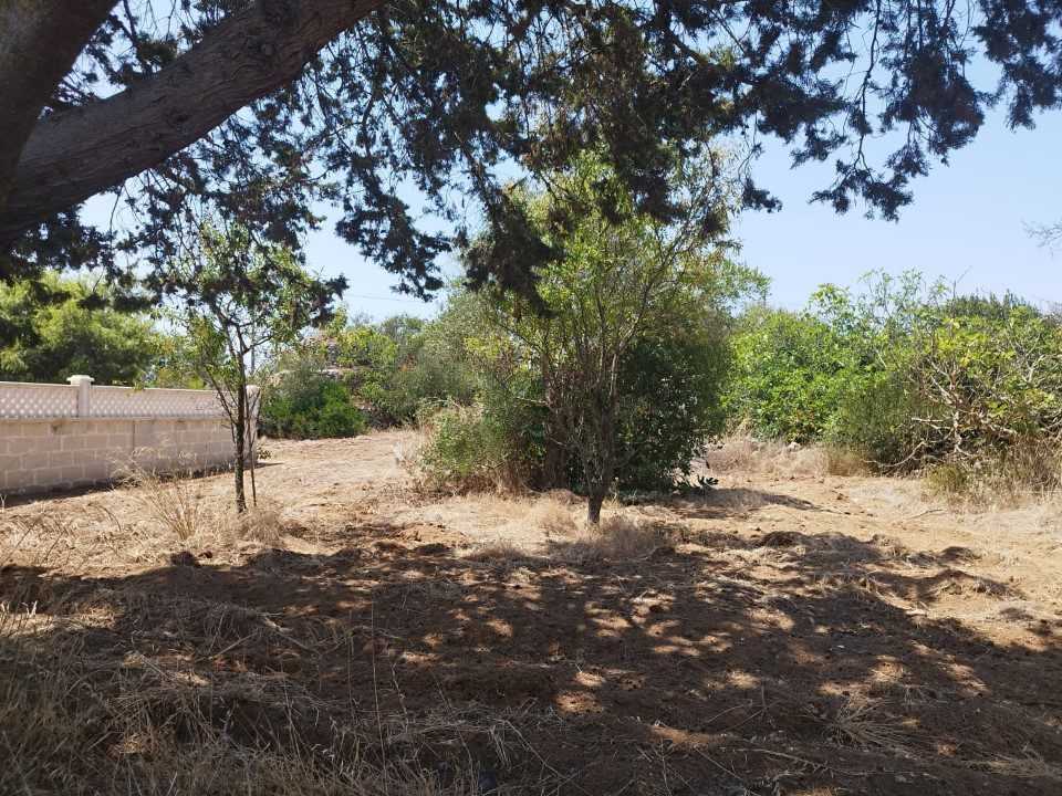  - foto 4