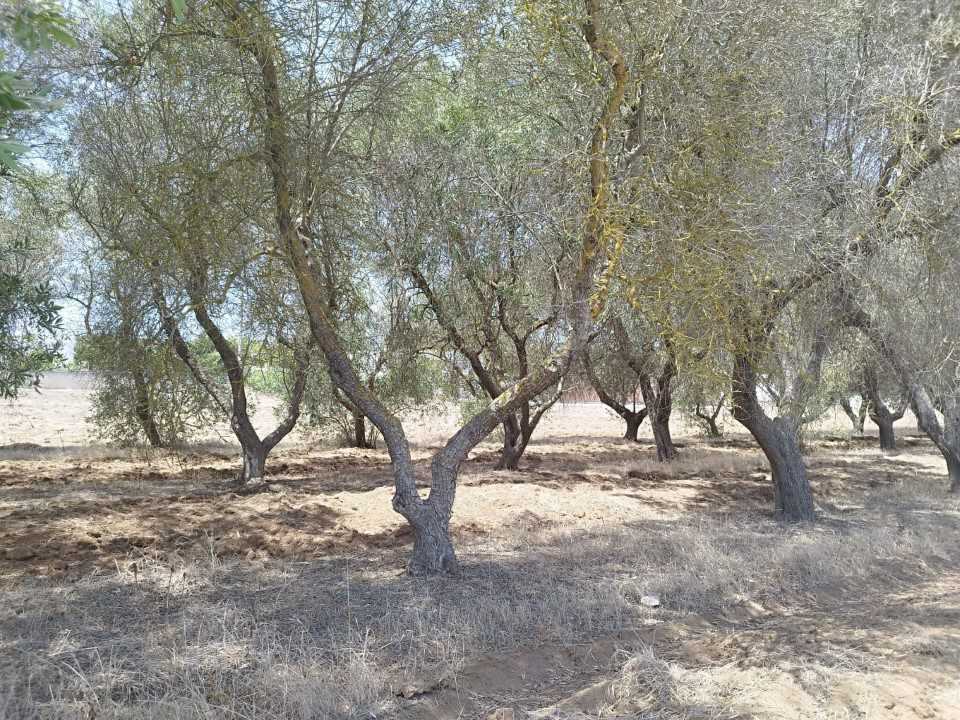  - foto 5