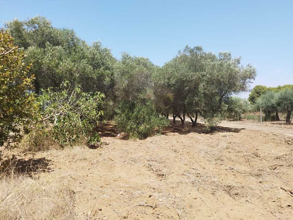  - foto 8