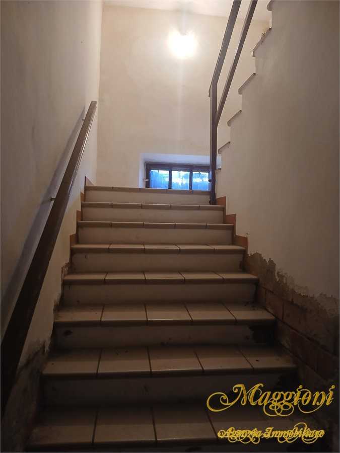  - foto 5