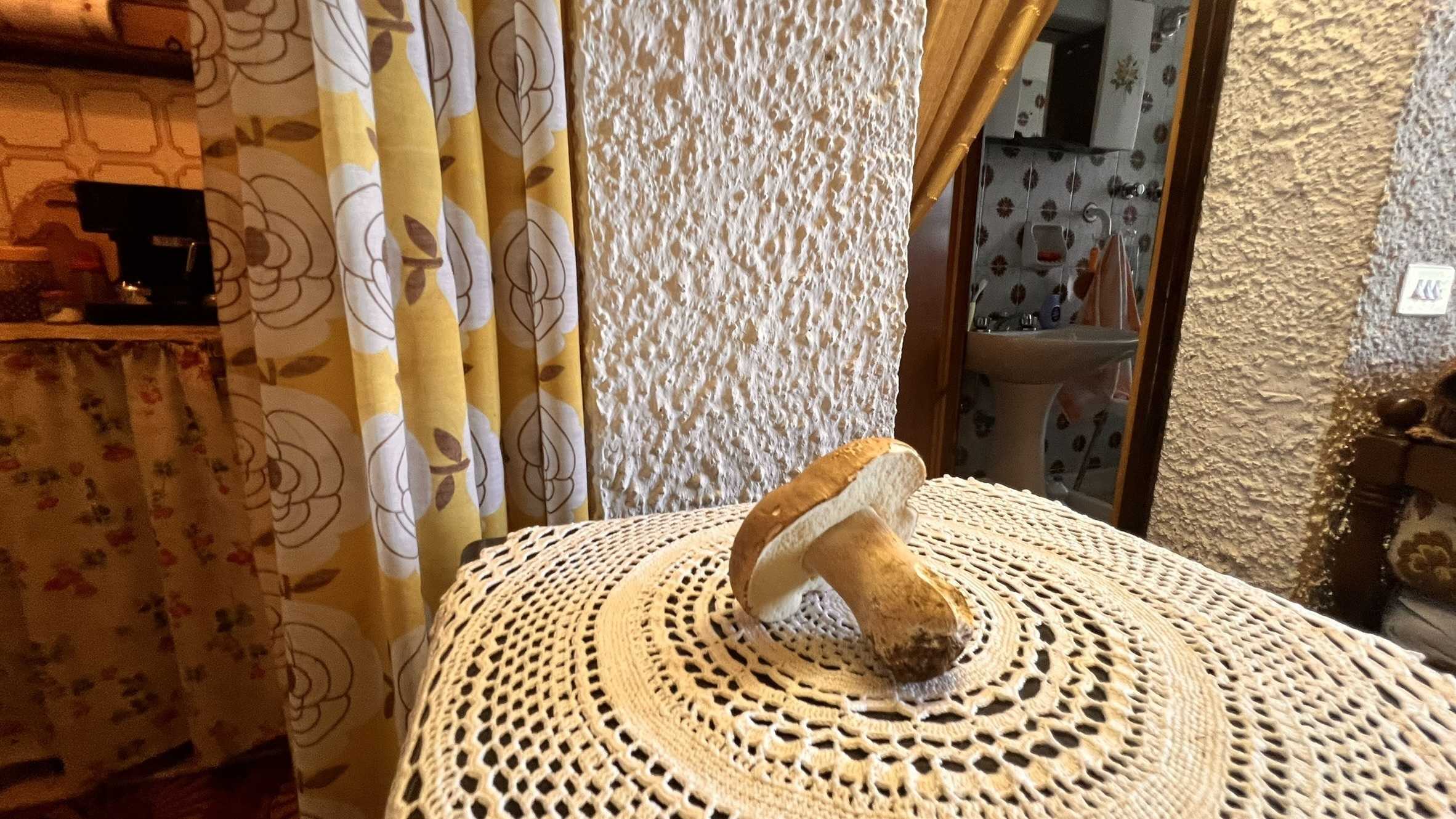  - foto 14