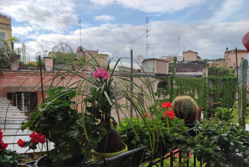  - foto 3