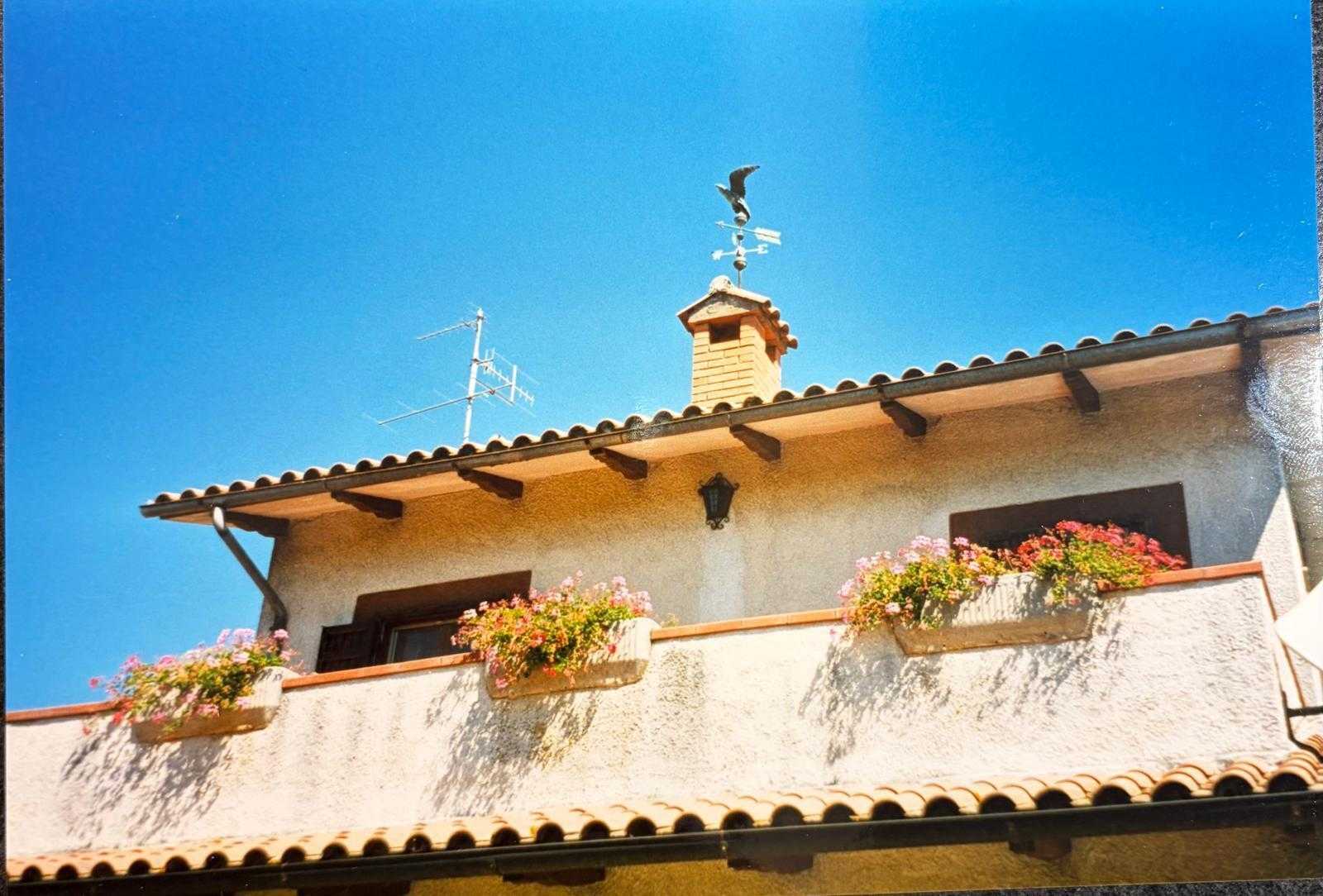  - foto 31