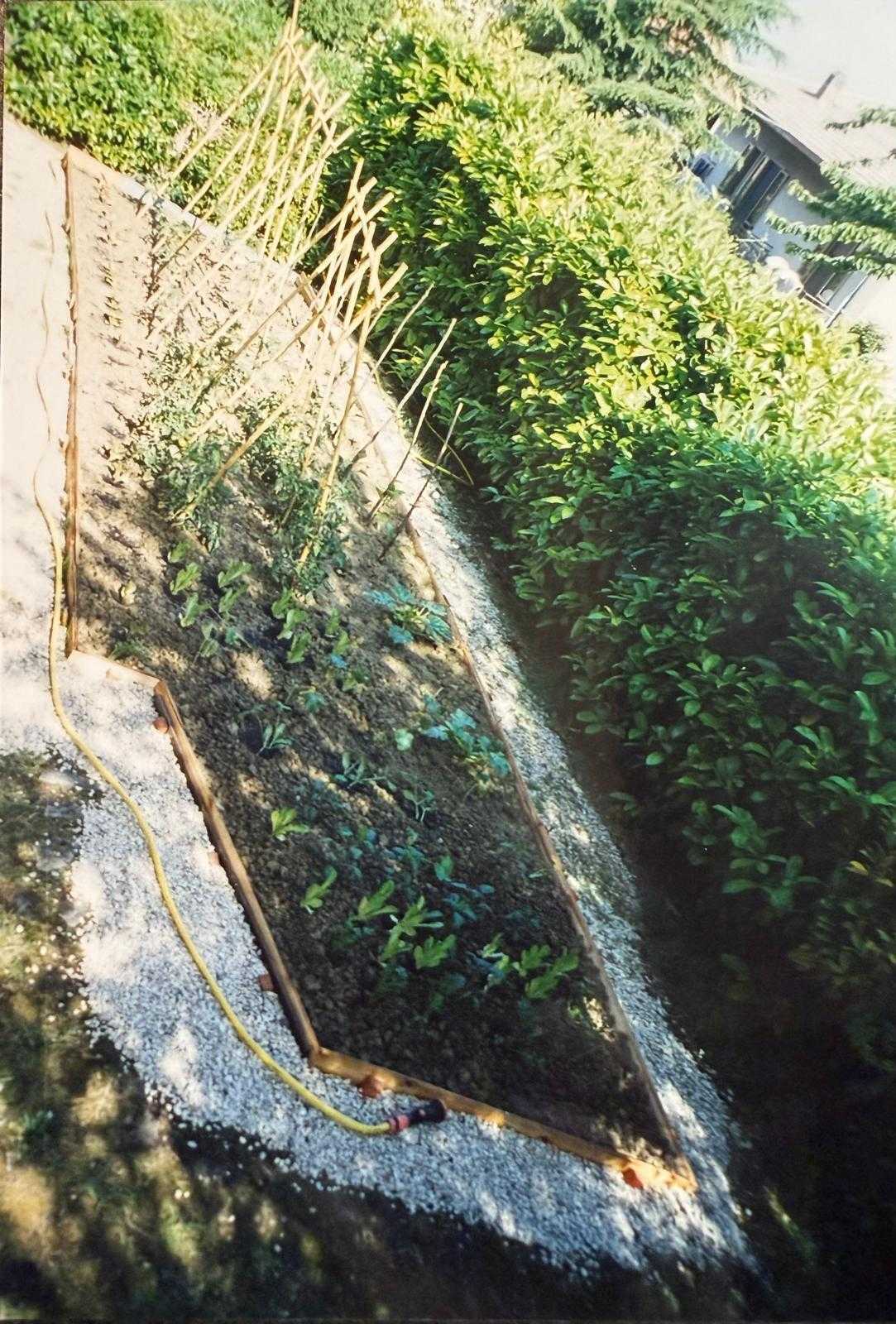  - foto 32