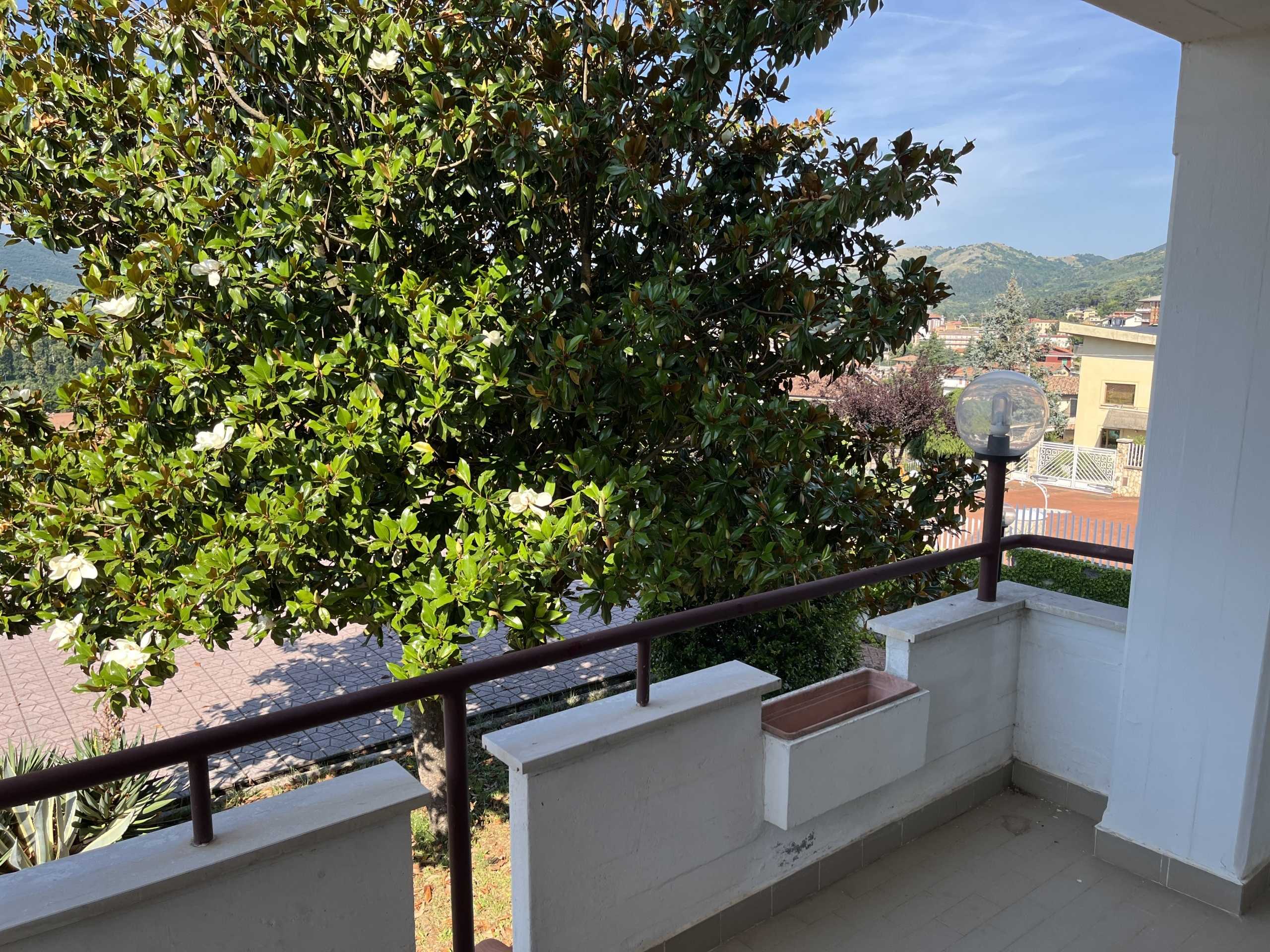 - foto 30
