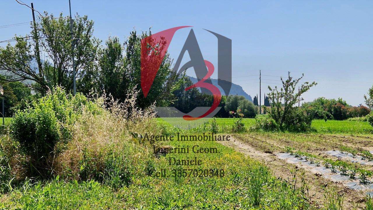  - foto 22