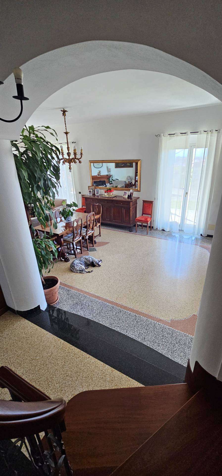  - foto 20