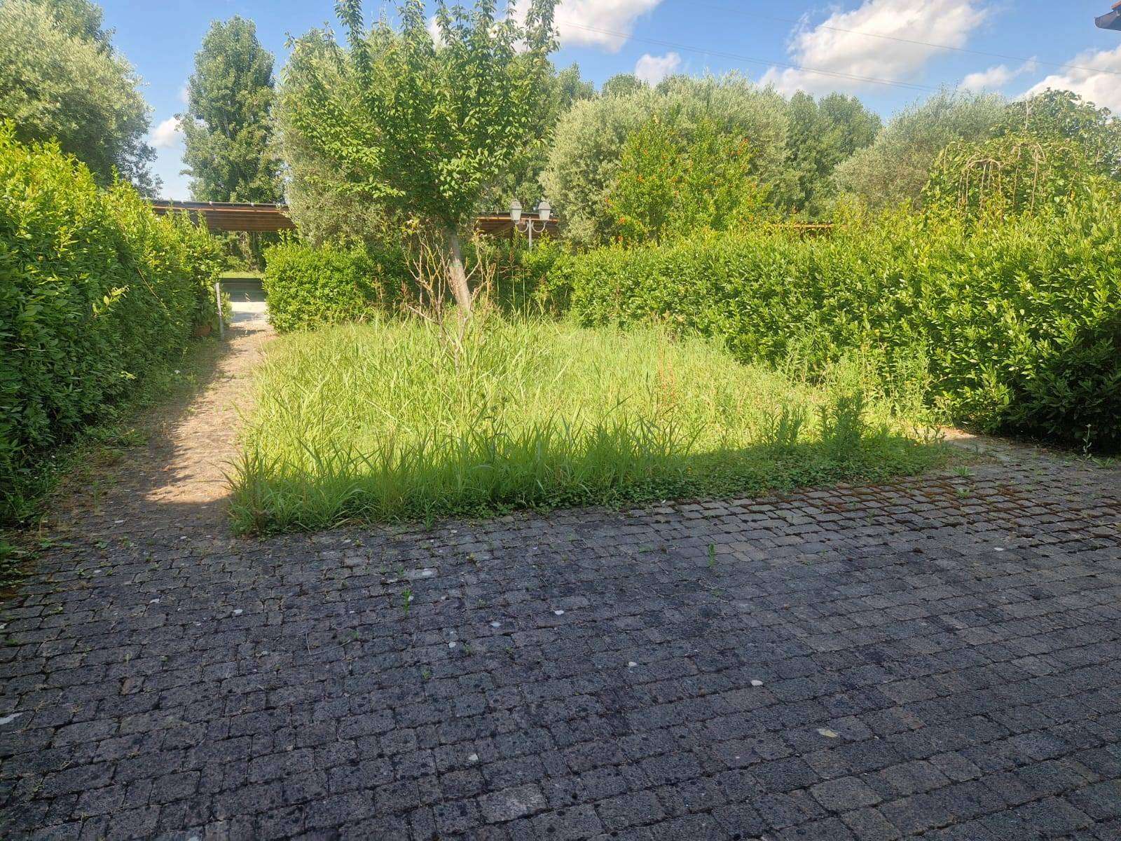 - foto 18