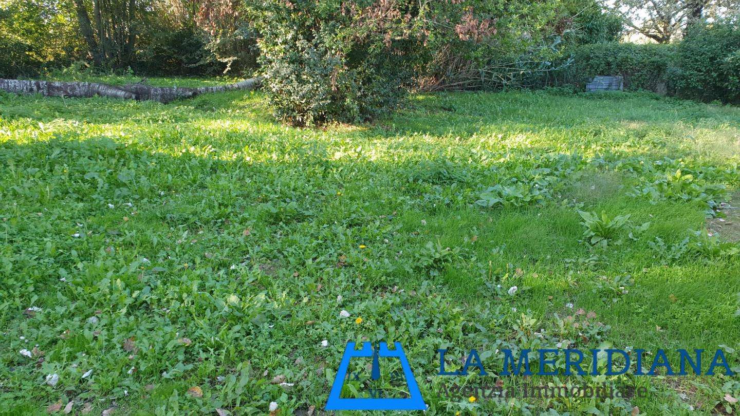  - foto 33