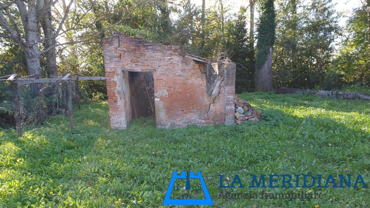  - foto 37