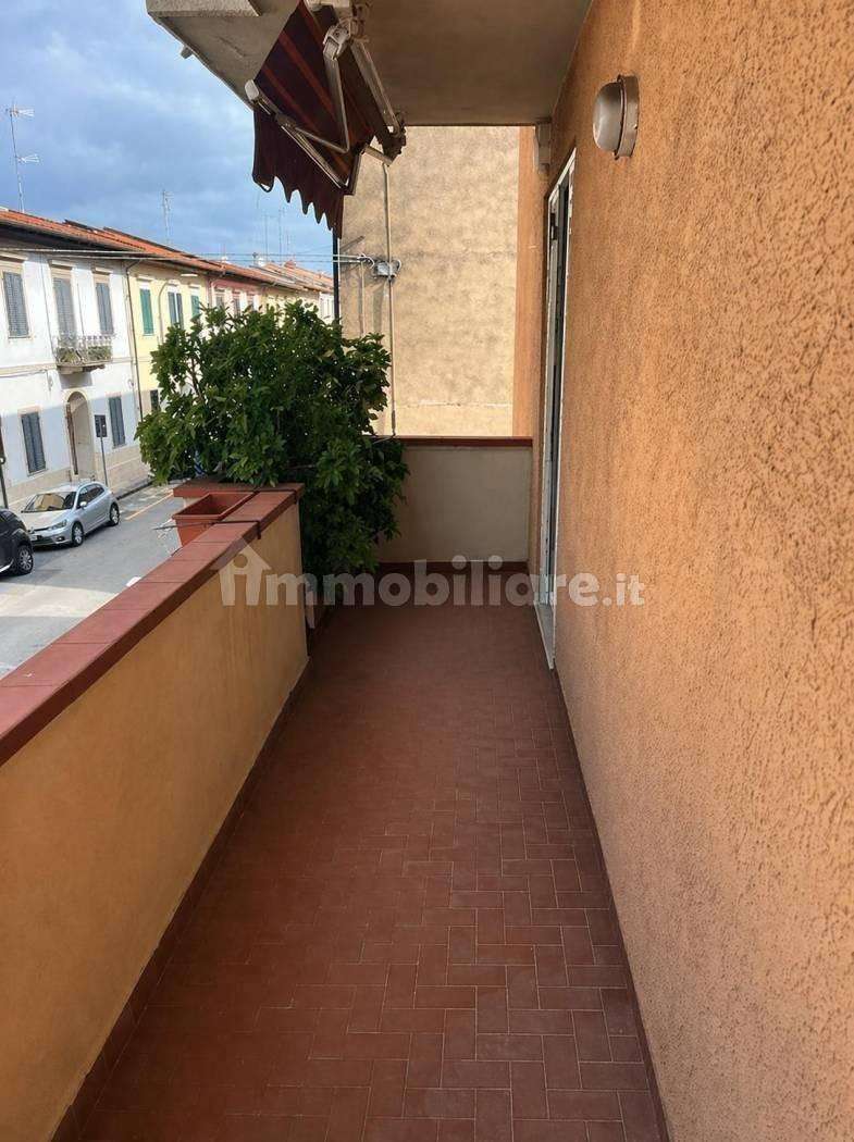  - foto 14