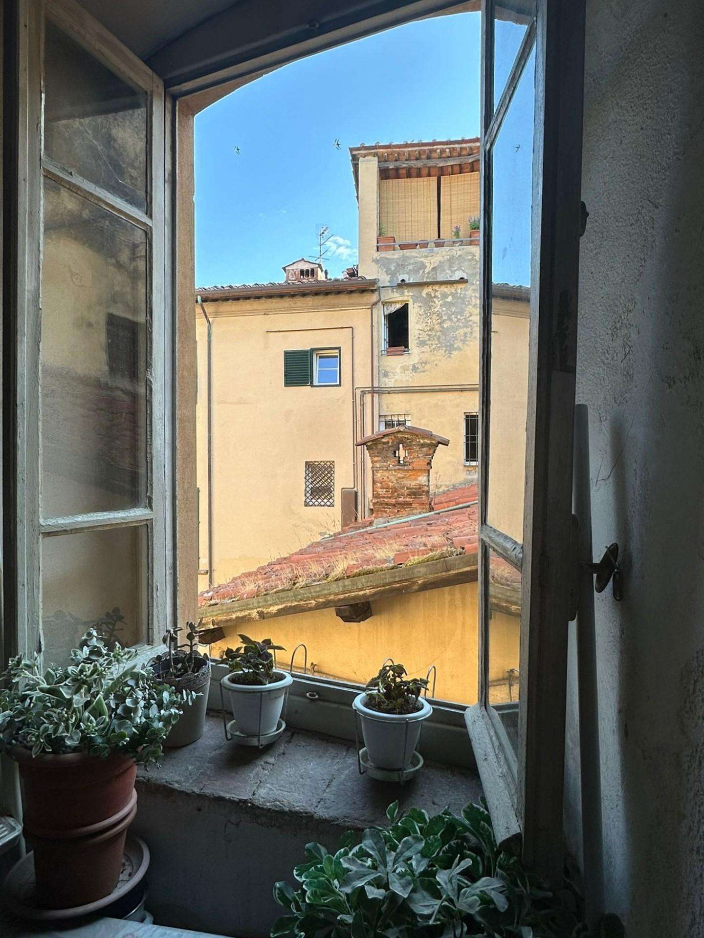  - foto 19