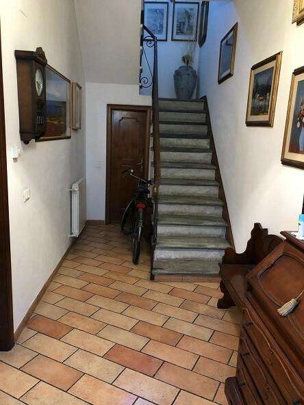 Altro Michele Coppino, Viareggio