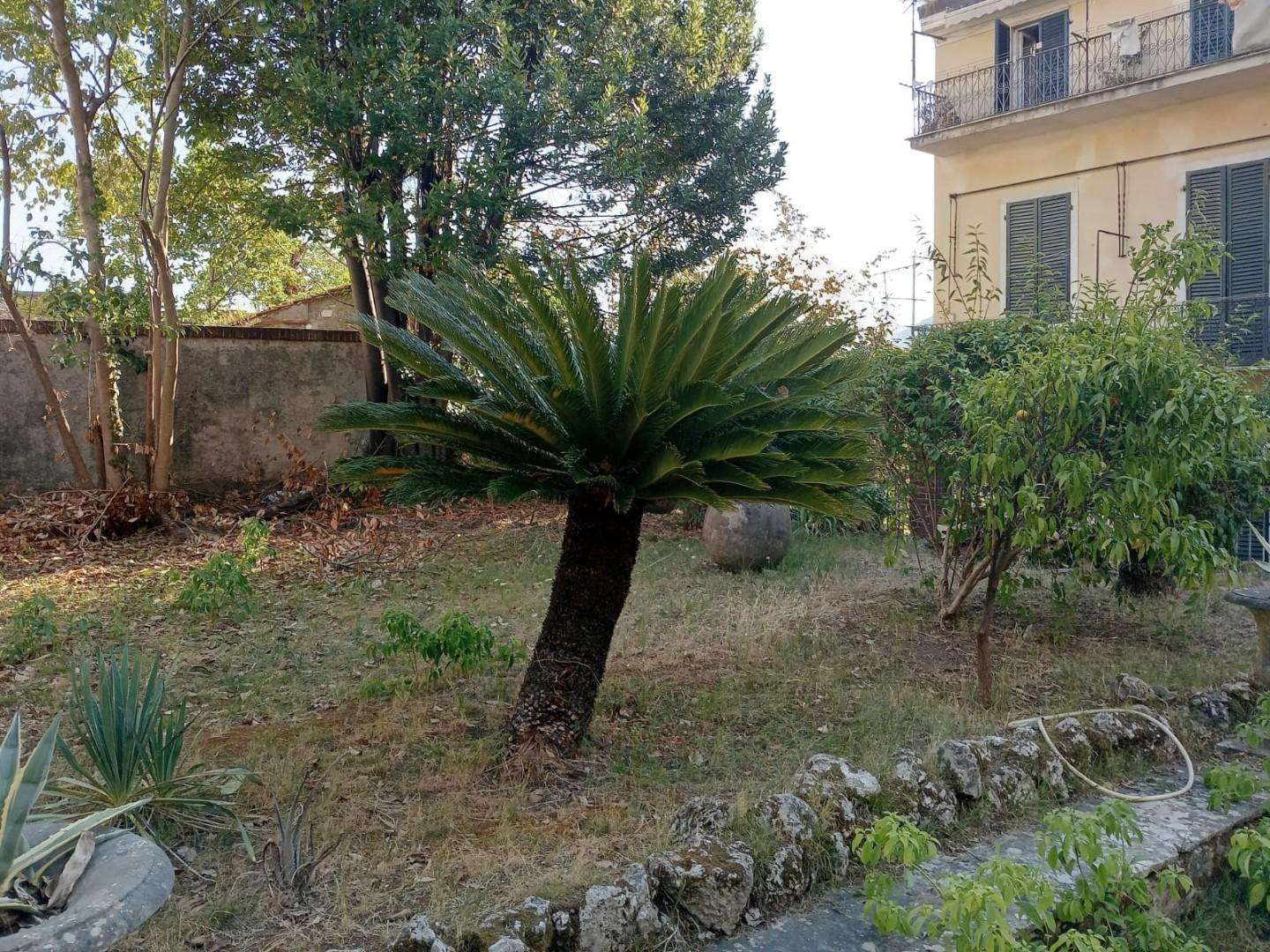  - foto 18