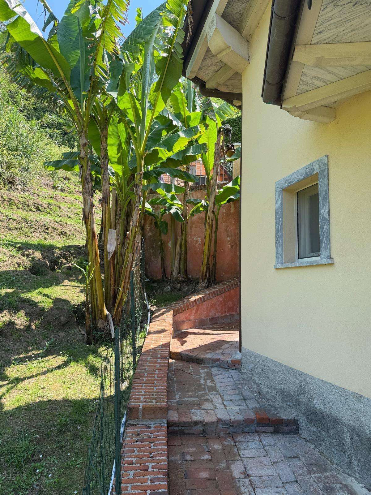  - foto 5