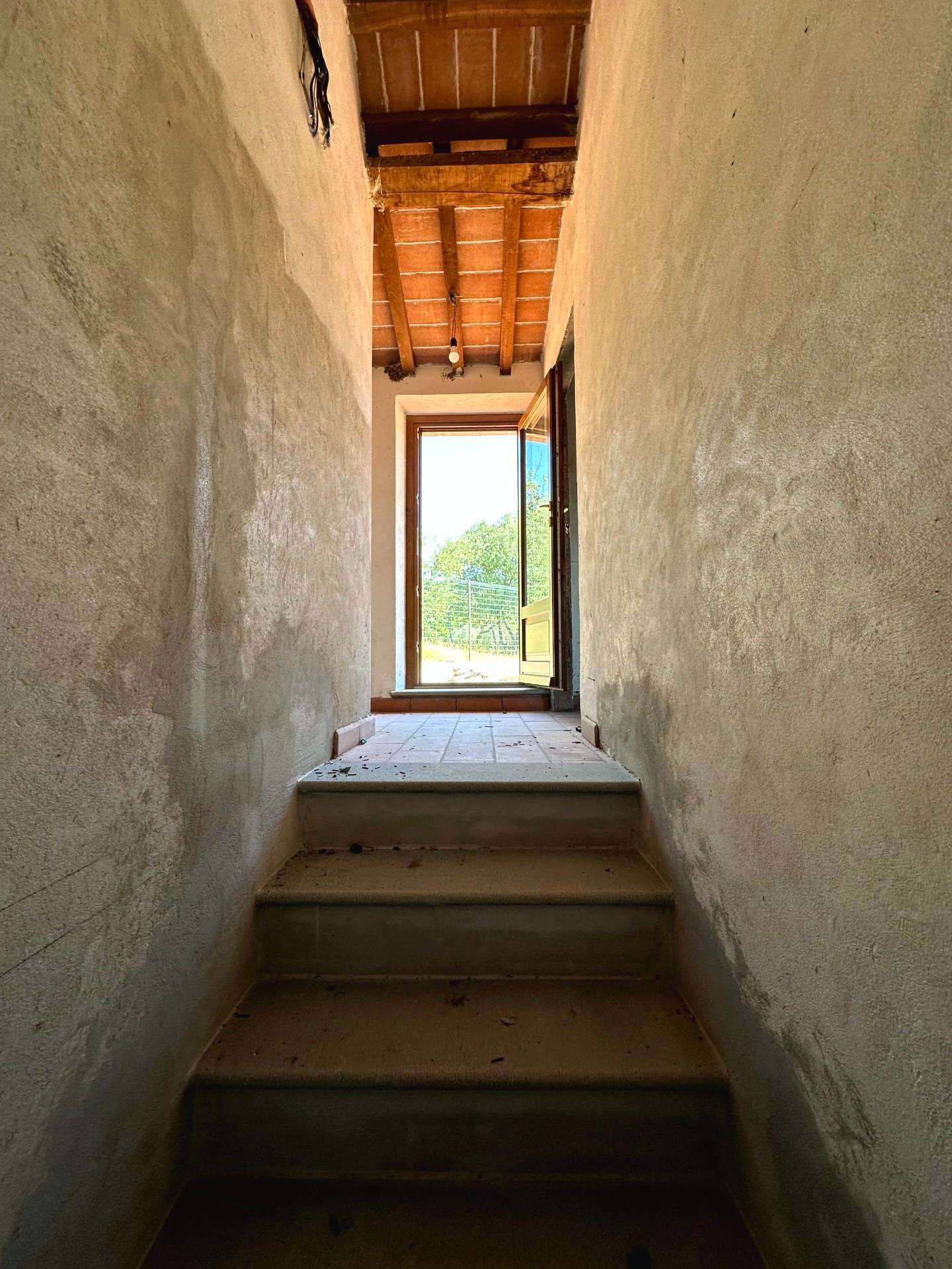  - foto 24