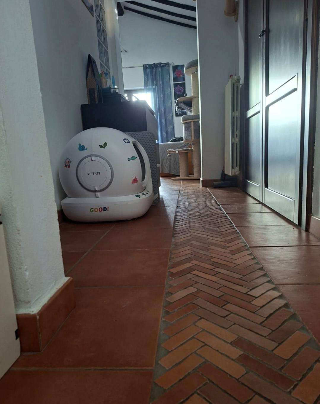  - foto 12