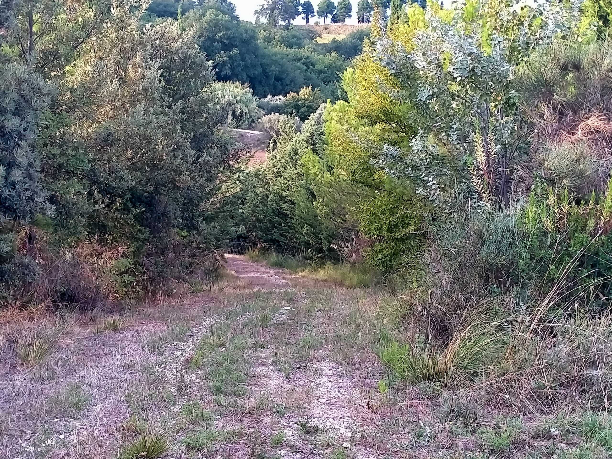  - foto 13