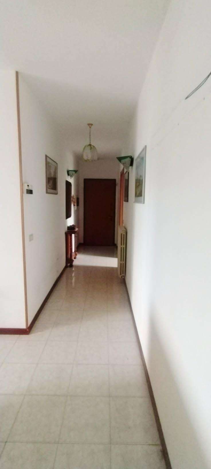  - foto 11