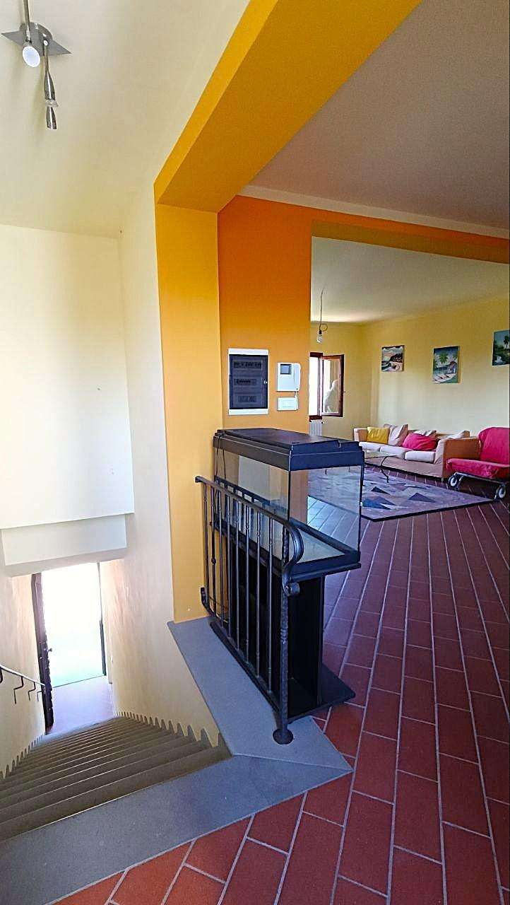  - foto 17