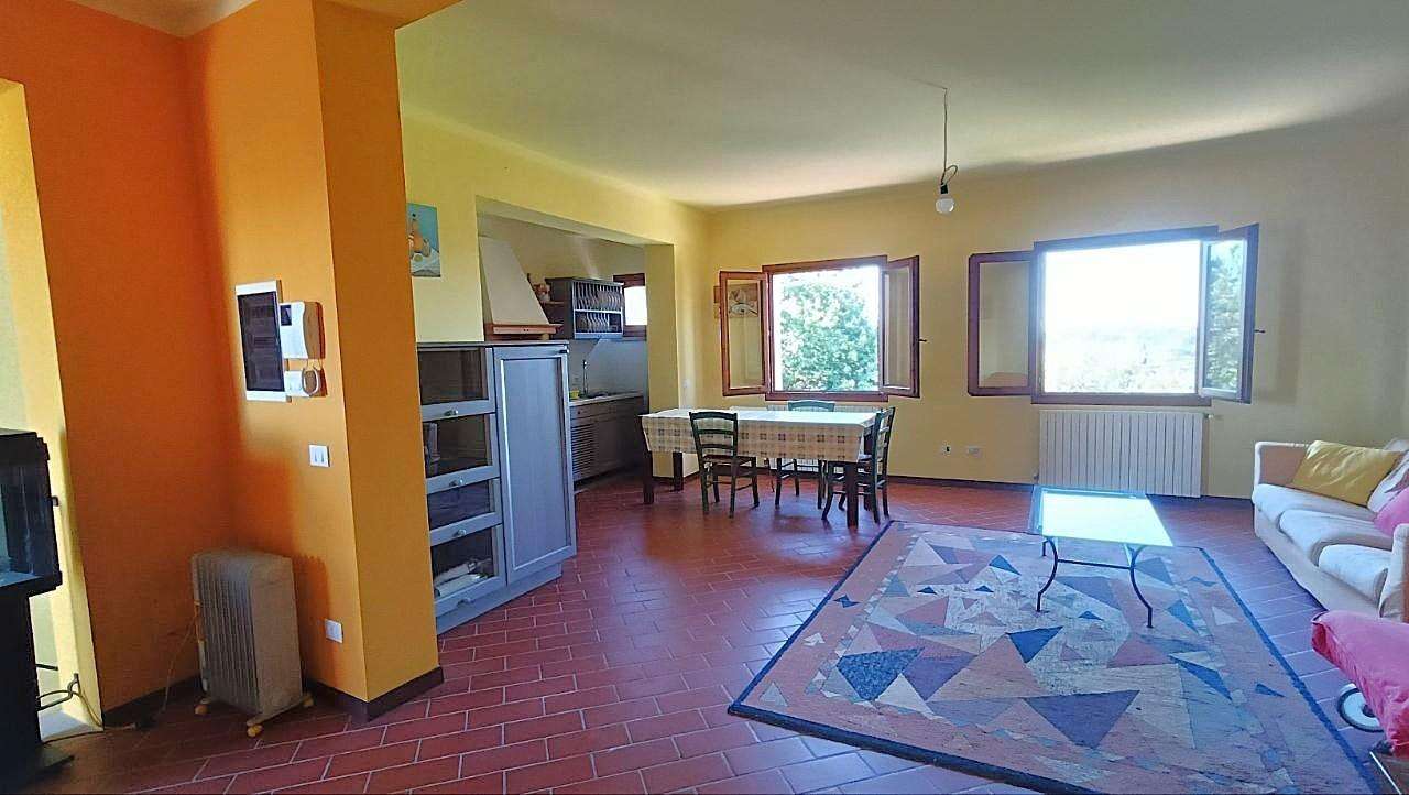  - foto 31