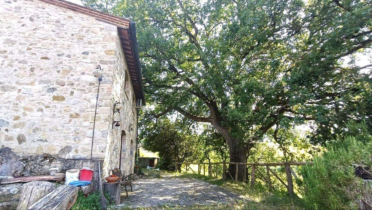  - foto 4
