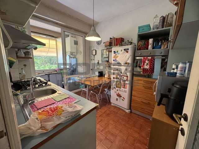  - foto 13