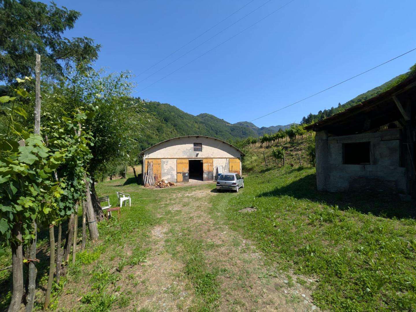  - foto 31