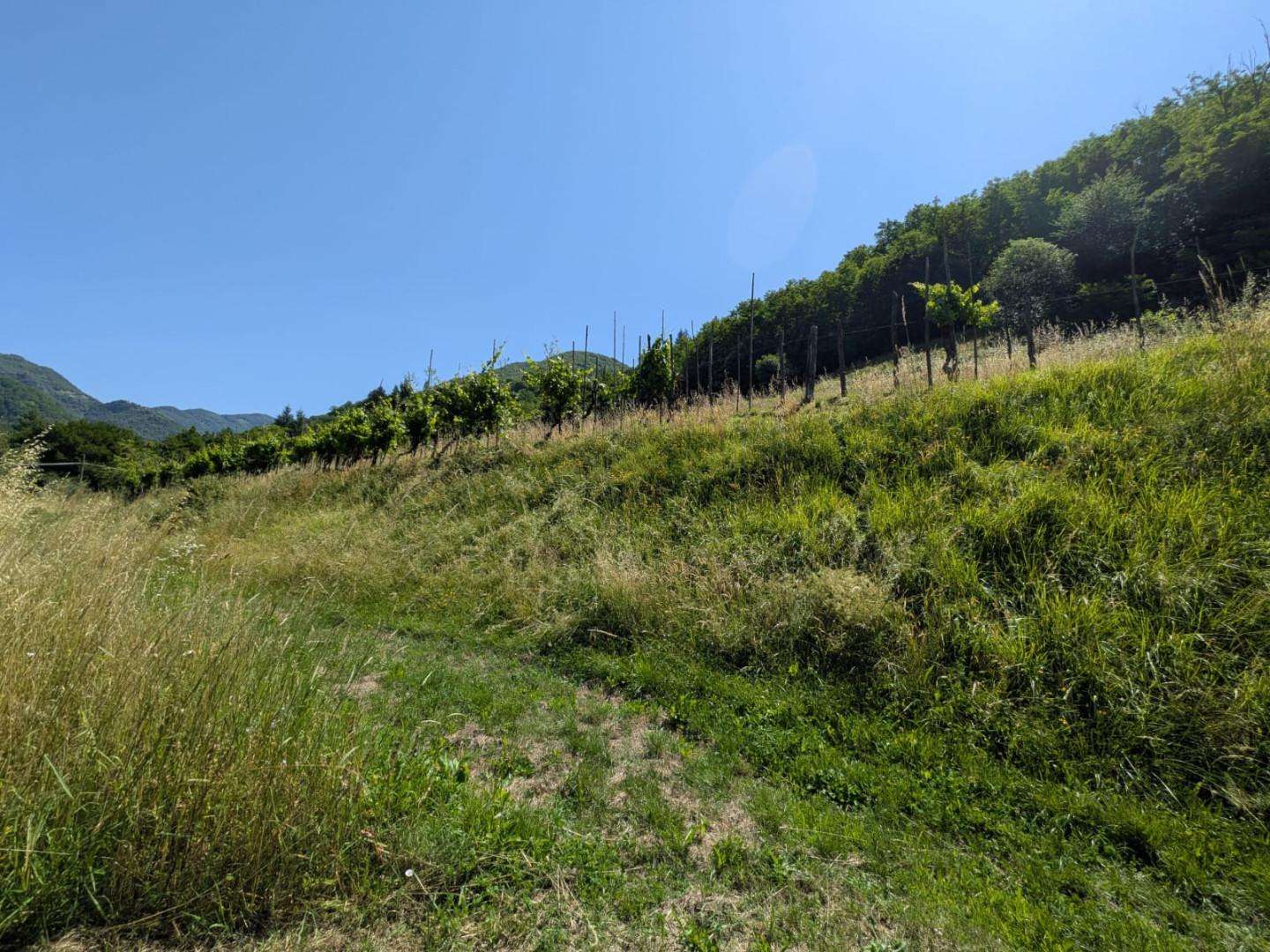  - foto 34