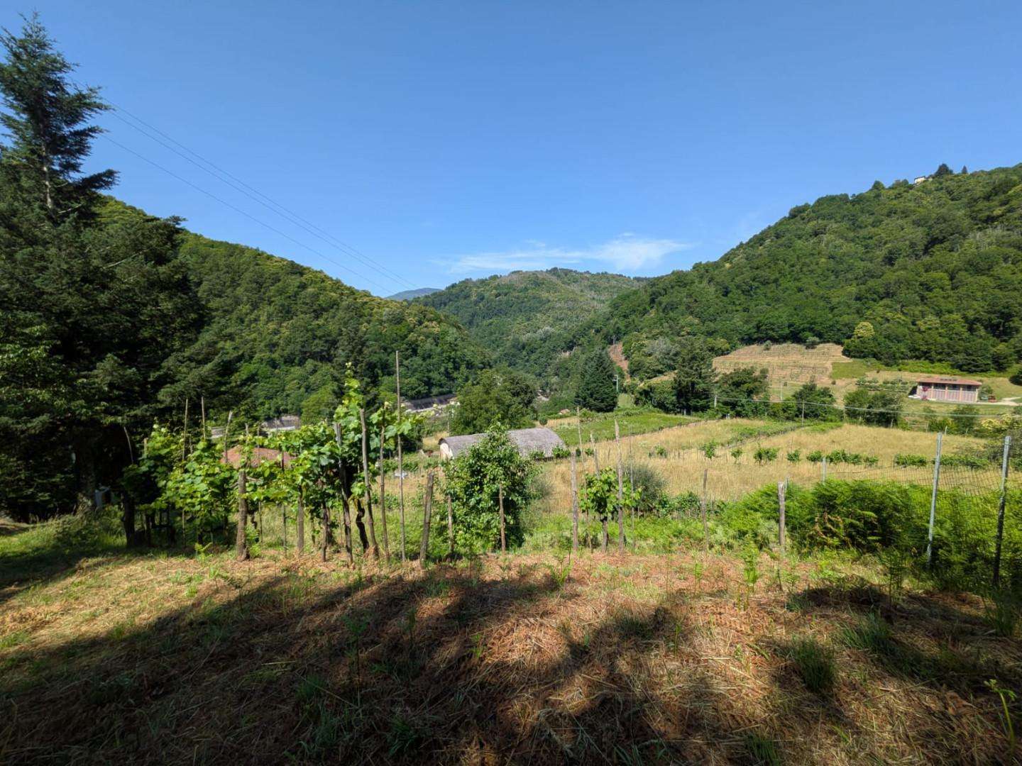  - foto 41