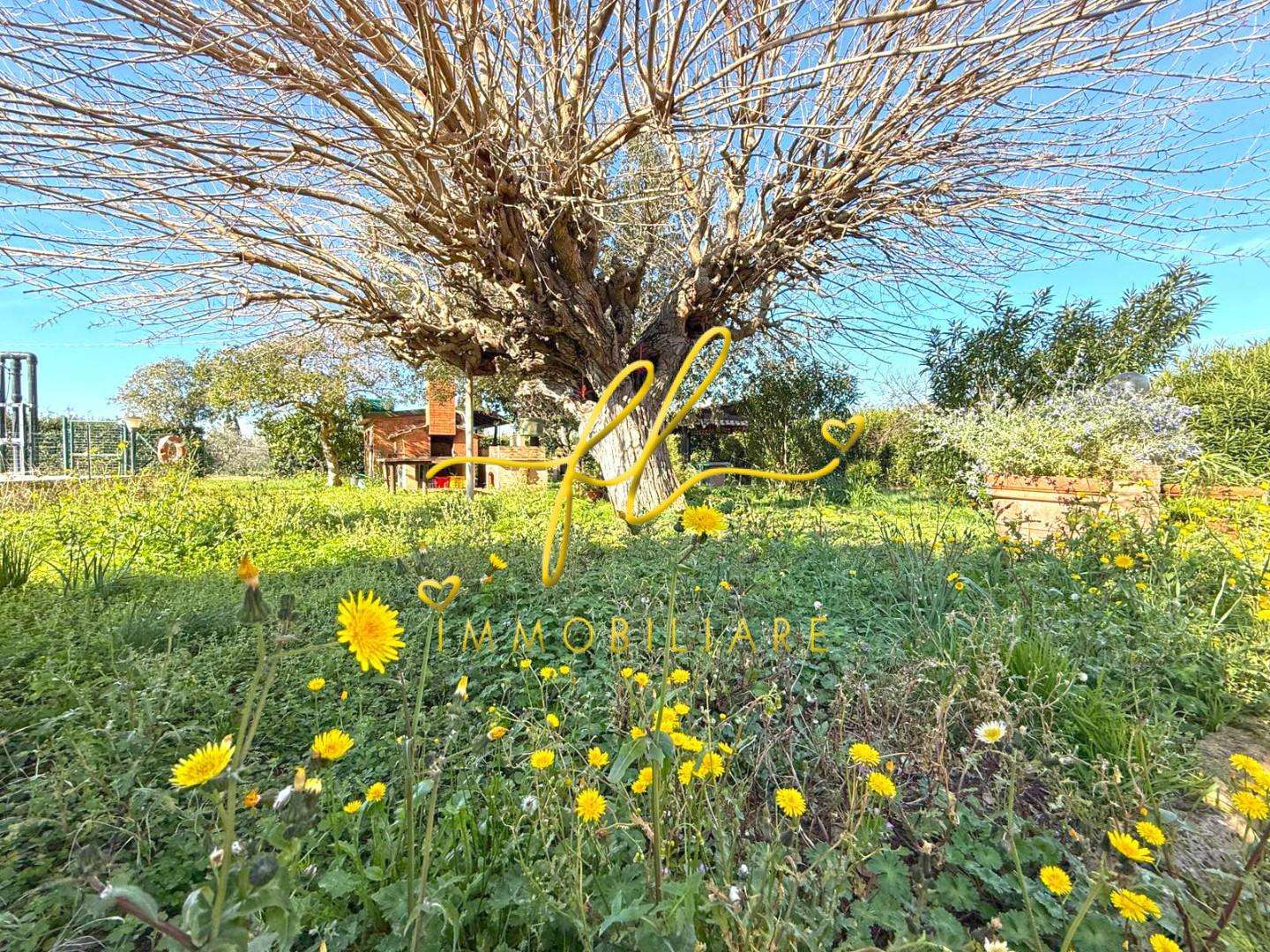  - foto 48