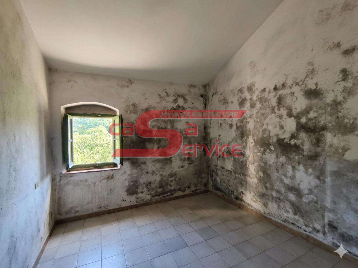  - foto 16