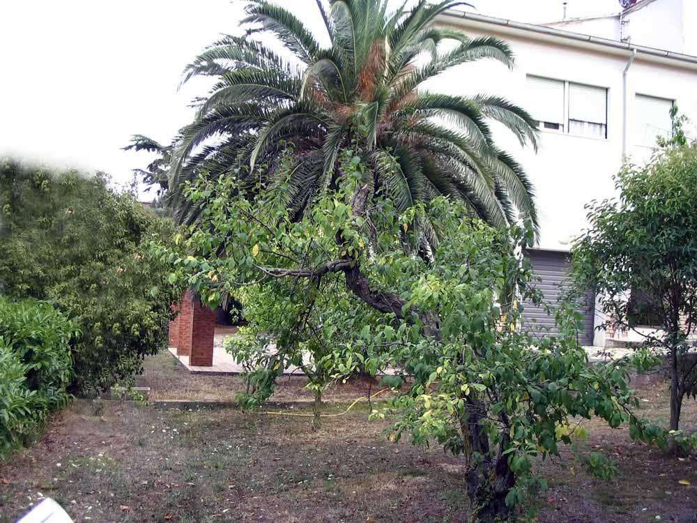  - foto 10
